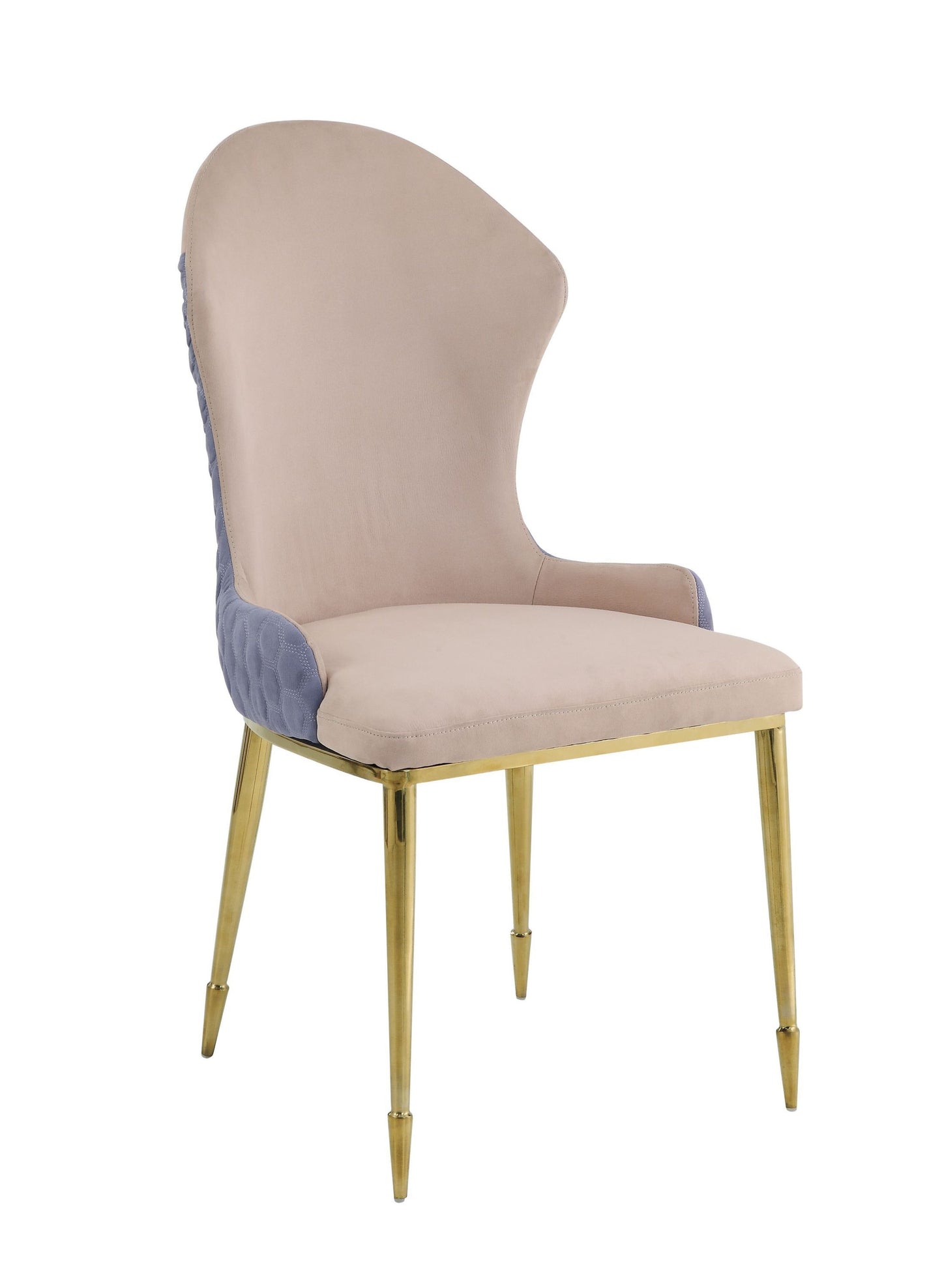 ACME Caolan Side Chair (Set-2), Tan, Lavender Fabric & Gold  72469 - Enova Luxe Home Store